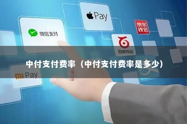 中付支付费率（中付支付费率是多少）